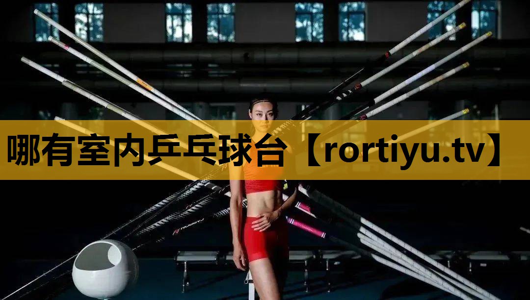 哪有室內乒乓球臺