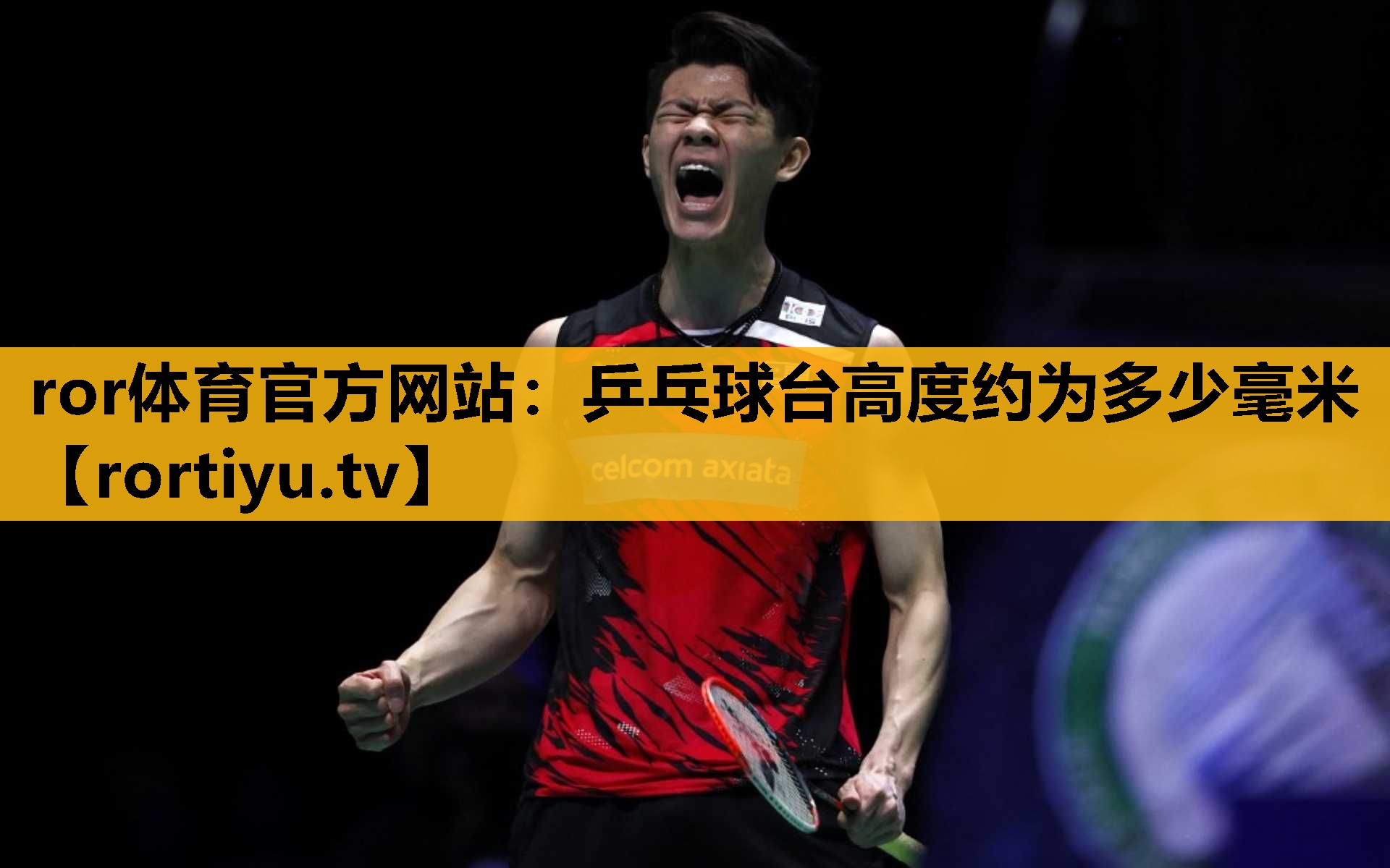 乒乓球臺高度約為多少毫米
