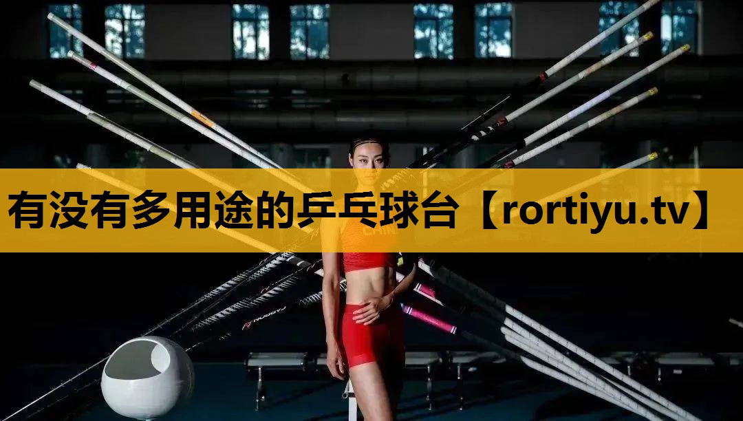 有沒有多用途的乒乓球臺
