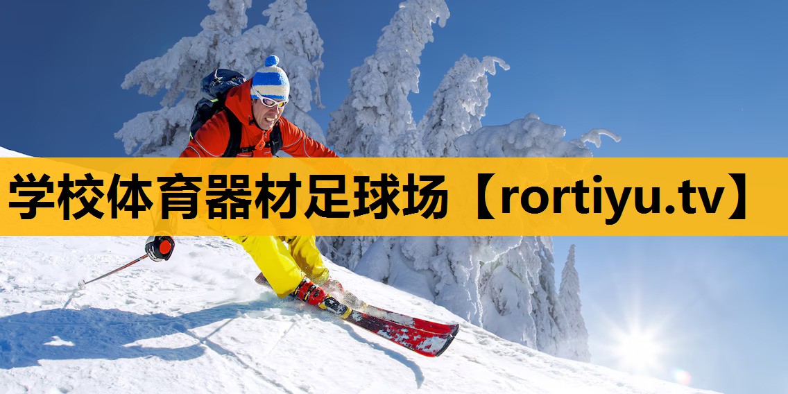 學校體育器材足球場