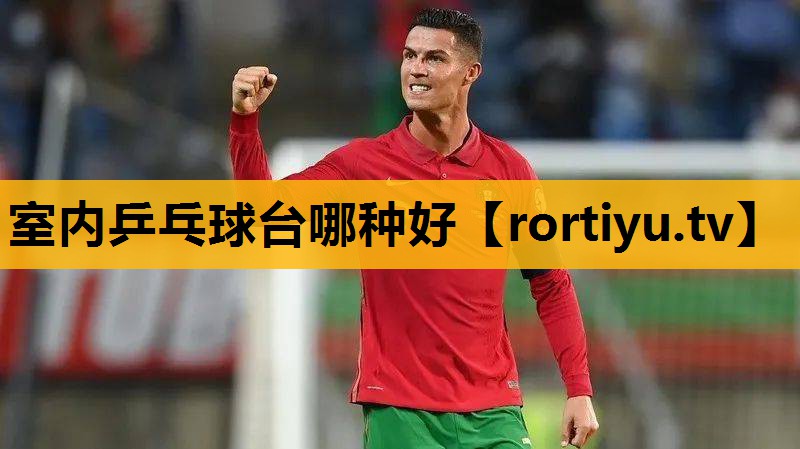 室內乒乓球臺哪種好